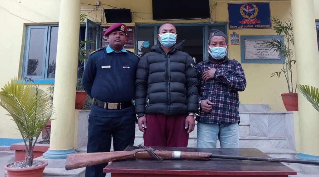 अवैध हतियारसहित पाँचखालबाट २ जना पक्राउ