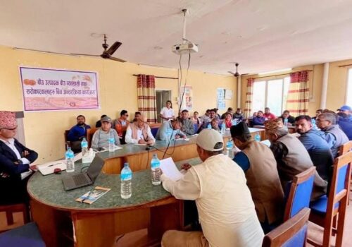 उन्नत र गुणस्तरीय बीउको अभाव,हाइब्रिड बीउ प्रति कृषकको बढ्दो आकर्षण