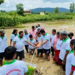 काभ्रेमा ३८ प्रतिशत रोपाई