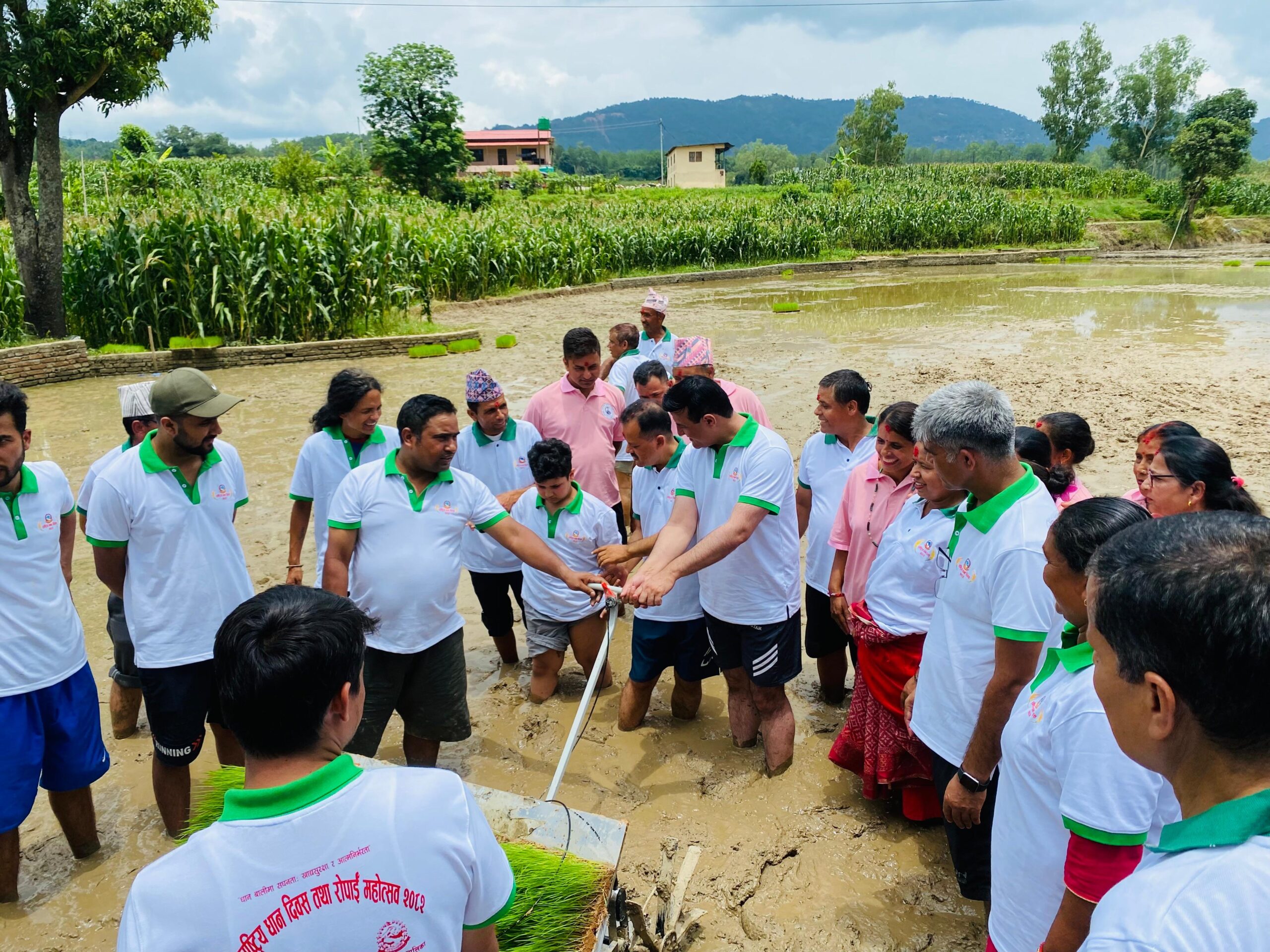 काभ्रेमा ३८ प्रतिशत रोपाई
