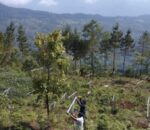 प्रधानमन्त्री कृषि आधुनिकीकरण परियोजना  कार्यान्वयन एकाइ रामेछापको उपलब्धिहरू