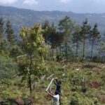 प्रधानमन्त्री कृषि आधुनिकीकरण परियोजना  कार्यान्वयन एकाइ रामेछापको उपलब्धिहरू