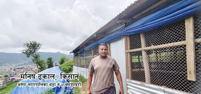 मकै, आलु उत्पादन र ब्रोइलर कुखुरा पालनमा मौलाउँदै मनिष