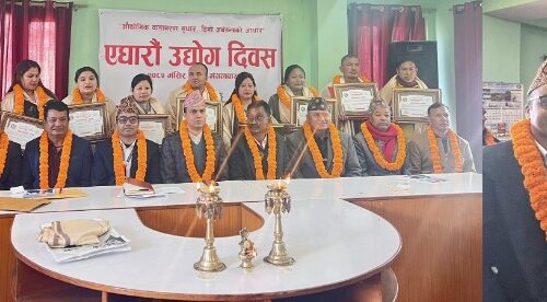 ‘नेभान स्प्राउट्स’स्साना मुटुहरूको लागि हातले बुनेको न्यानो संसार