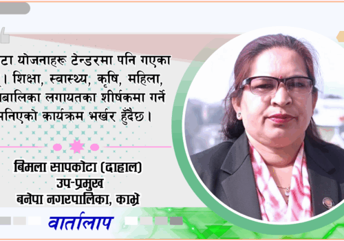 घोषित कार्यक्रमलाई अगाडि बढाइरहेका छौं