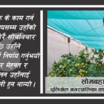 संघर्ष, धैर्य र निरन्तरको मिहिनेत, कृषि कर्ममा जमेका बखुण्डोलका सोमबहादुर