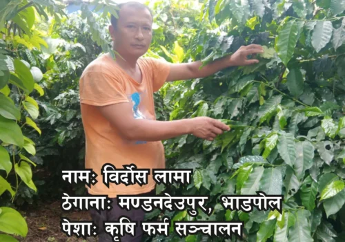 विगतमा भविष्यको चिन्ता थियो, अहिले भने फर्मले आत्मविश्वास दिएको छ