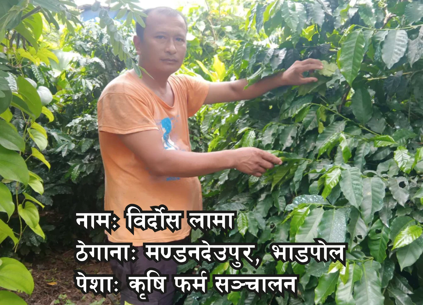 विगतमा भविष्यको चिन्ता थियो, अहिले भने फर्मले आत्मविश्वास दिएको छ