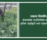 पौरखी किसानको अनुभवः “सुख भनेकै परिवार पाल्न कुनै समस्या नहुनु हो”