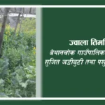 पौरखी किसानको अनुभवः “सुख भनेकै परिवार पाल्न कुनै समस्या नहुनु हो”