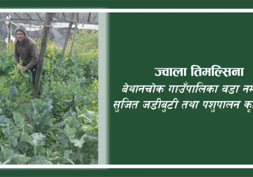 पौरखी किसानको अनुभवः “सुख भनेकै परिवार पाल्न कुनै समस्या नहुनु हो”