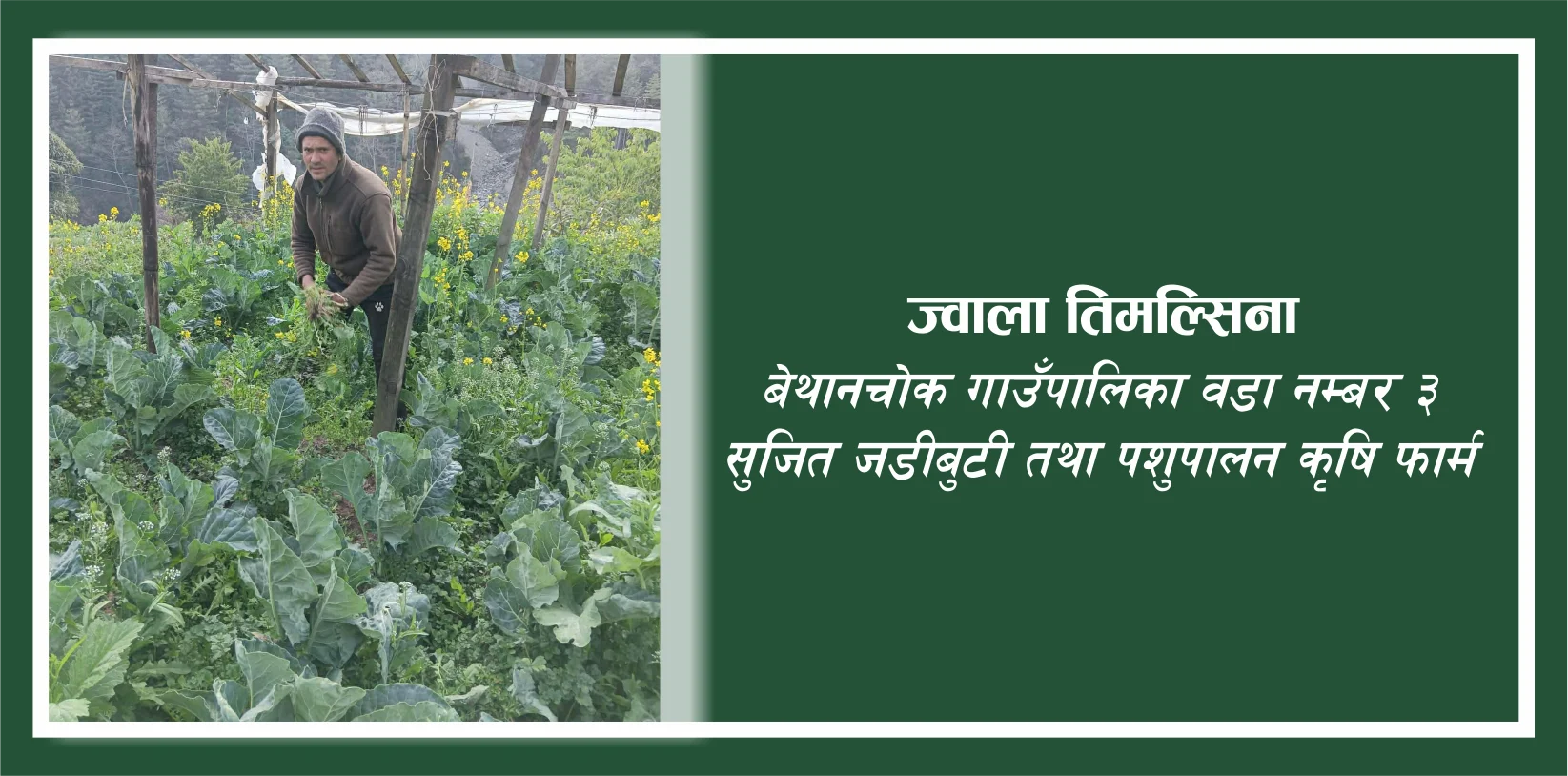 पौरखी किसानको अनुभवः “सुख भनेकै परिवार पाल्न कुनै समस्या नहुनु हो”