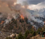 चैत १ देखि ७ गतेसम्म मुलुकभर वन डढेलो सप्ताह मनाइरहँदा वर्षेनी वन डढेलोको जोखिम बढिरहेको निष्कर्ष