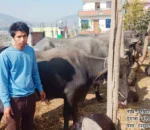 पौरखी पुरुषोत्तम