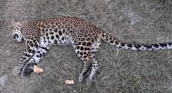 48394747_330290120905612_3917240916775010304_n (1)