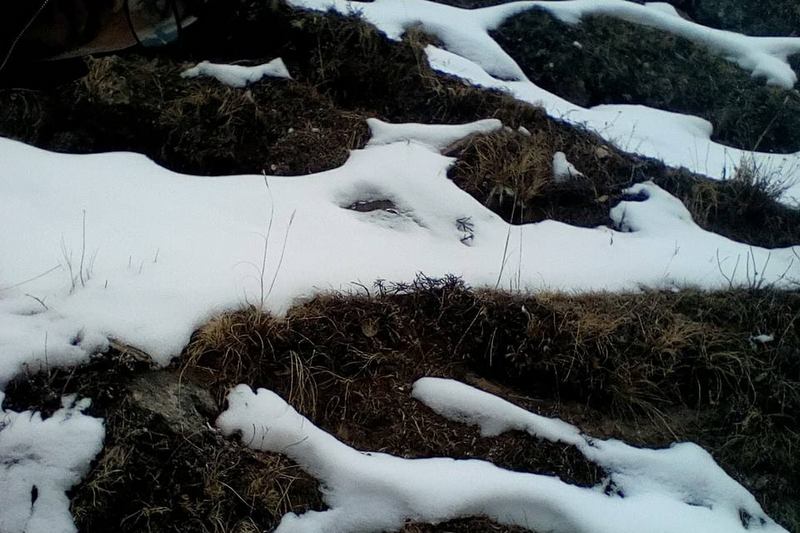 49001855_2111420962212551_433861593193775104_n_vTpAQBUJJK