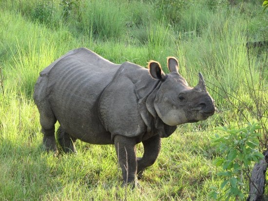 264657401_1323716821411811_1952299600893622160_n