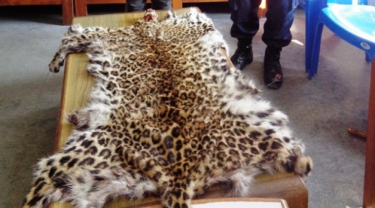 chituwa-ko-xala1658988315