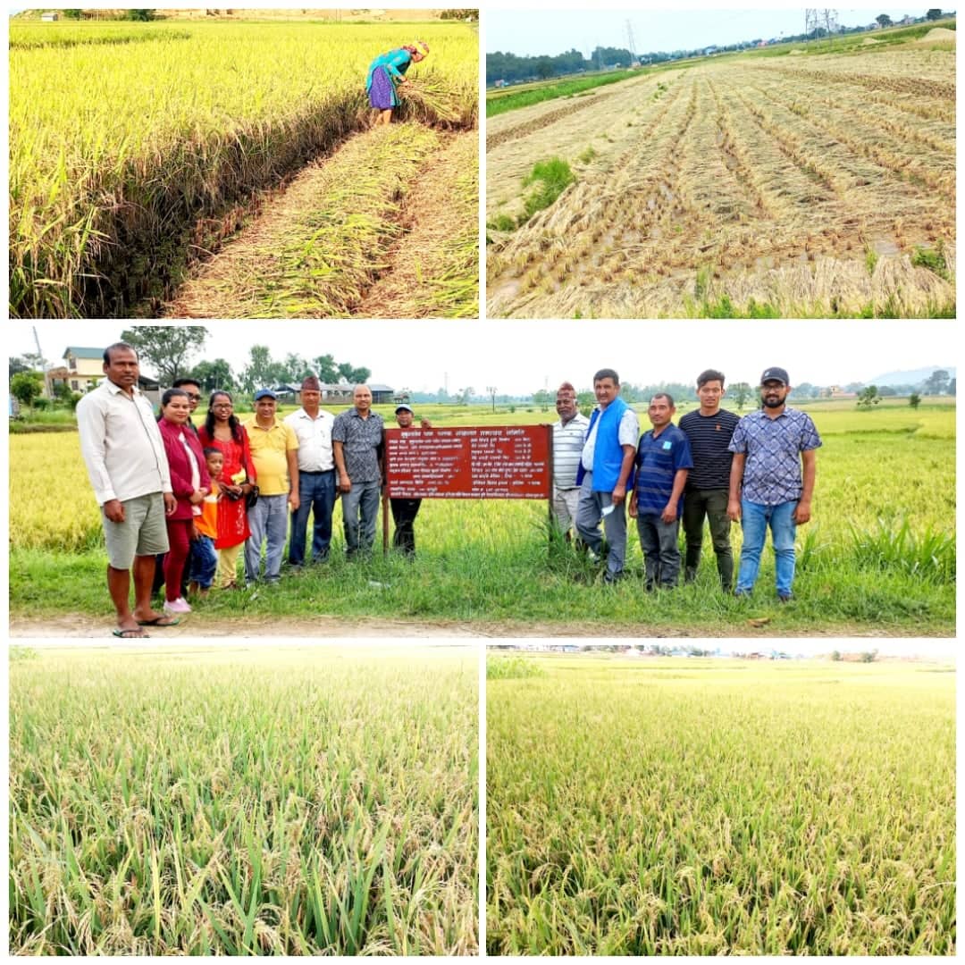 284065321_538739517711591_5649964005817660769_n