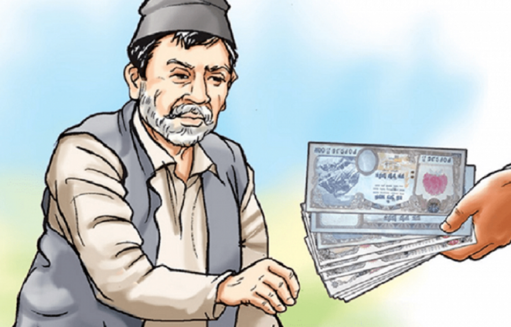 qfOLM1MyMaPto8kqnphl