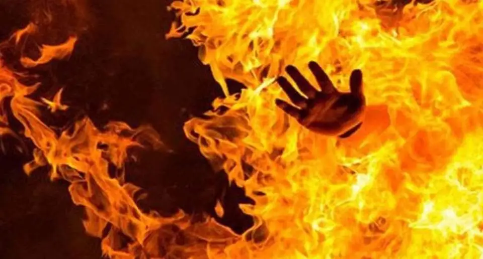 FB_IMG_1646979896636