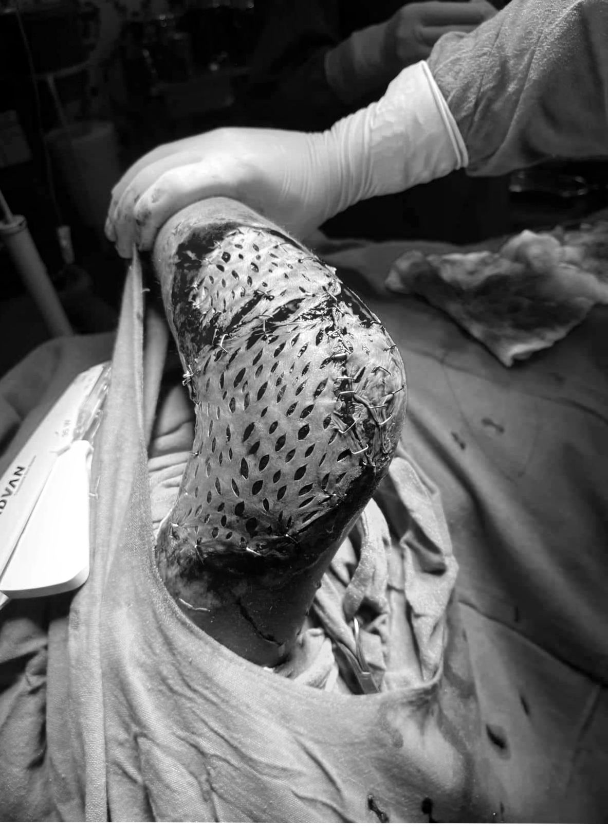 inbound3223303741821115461