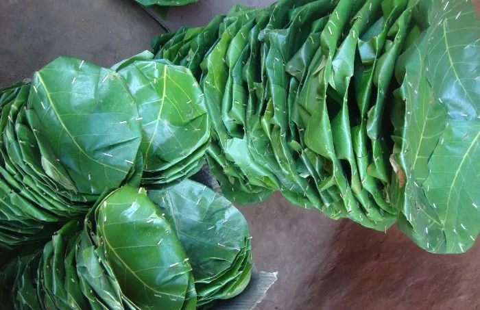 dunatapari1654585228