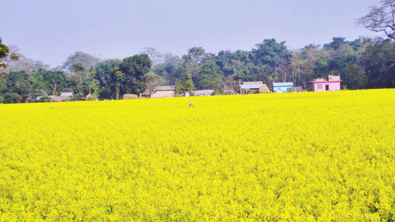 My-project-1-2022-12-06T204011.879