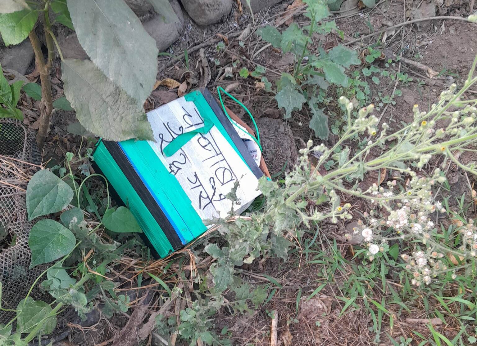 334211081_185638057532118_824879335550934485_n-e1678850059883