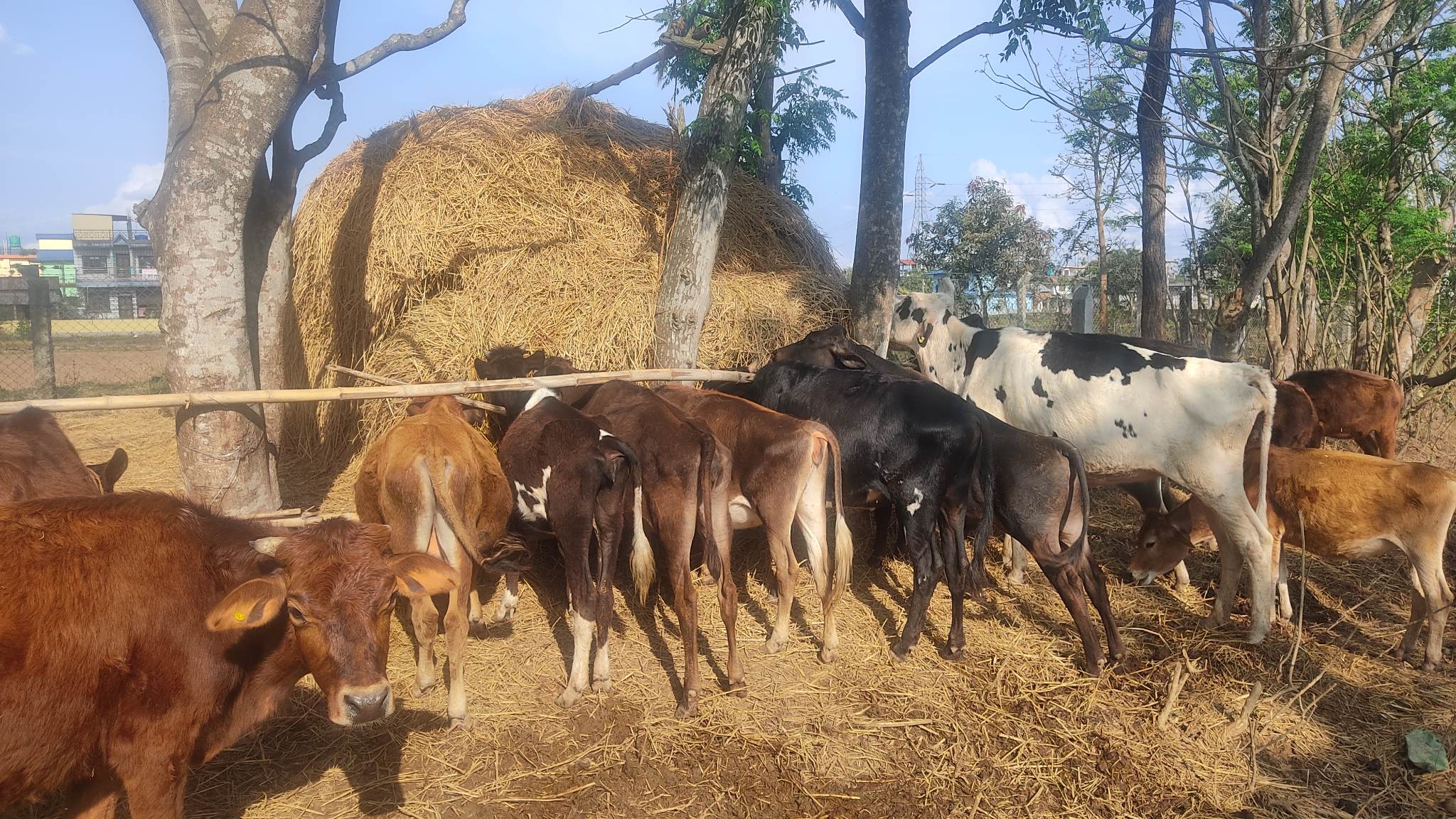 336165399_939755437198891_8823771466529594552_n