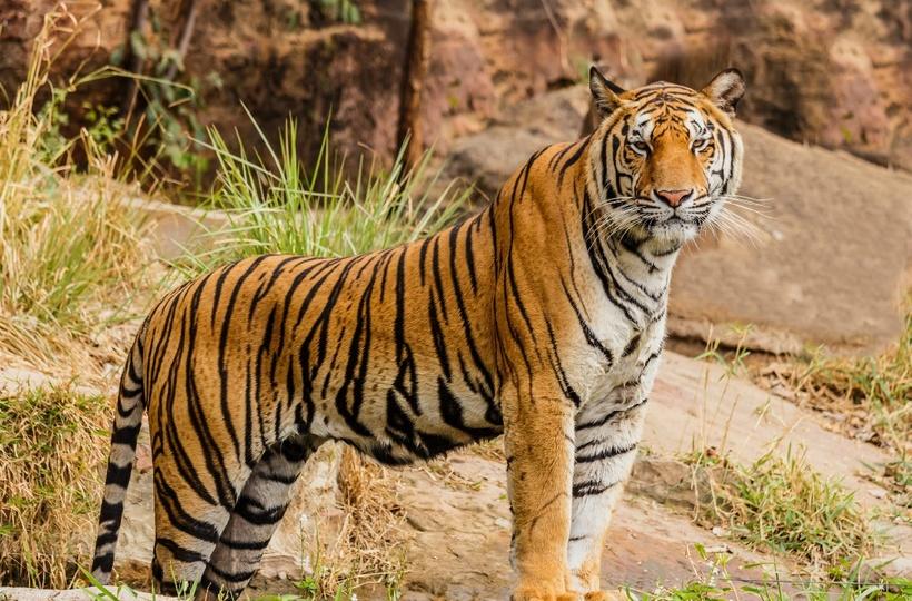 a-g-YuQgNYku1M8-unsplash_63dba7f99b996