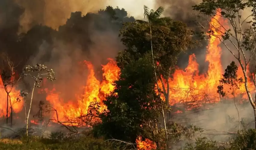 fire2023-04-21-12-39-38_850x499_50