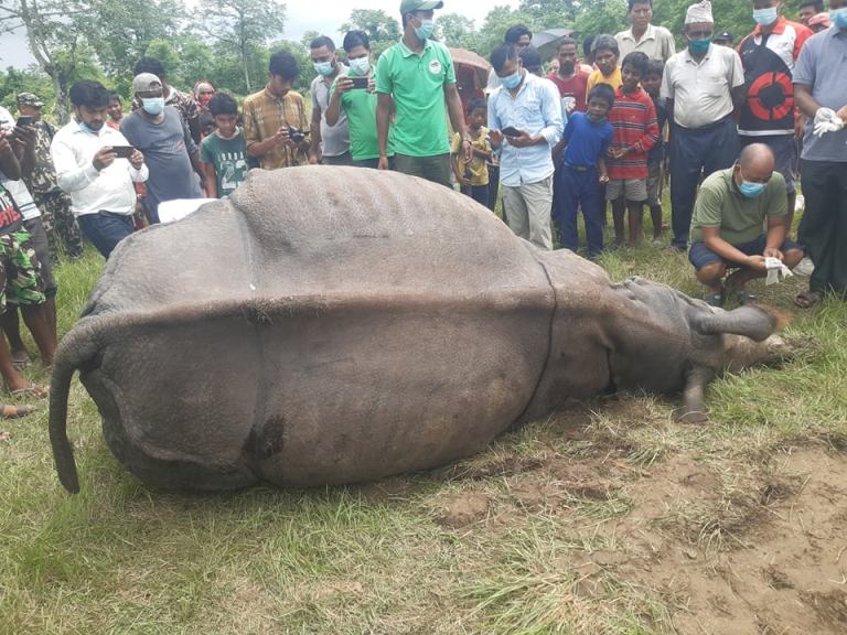 219822861_871340613788651_3276226181220254819_n2021-08-04-02-20-23