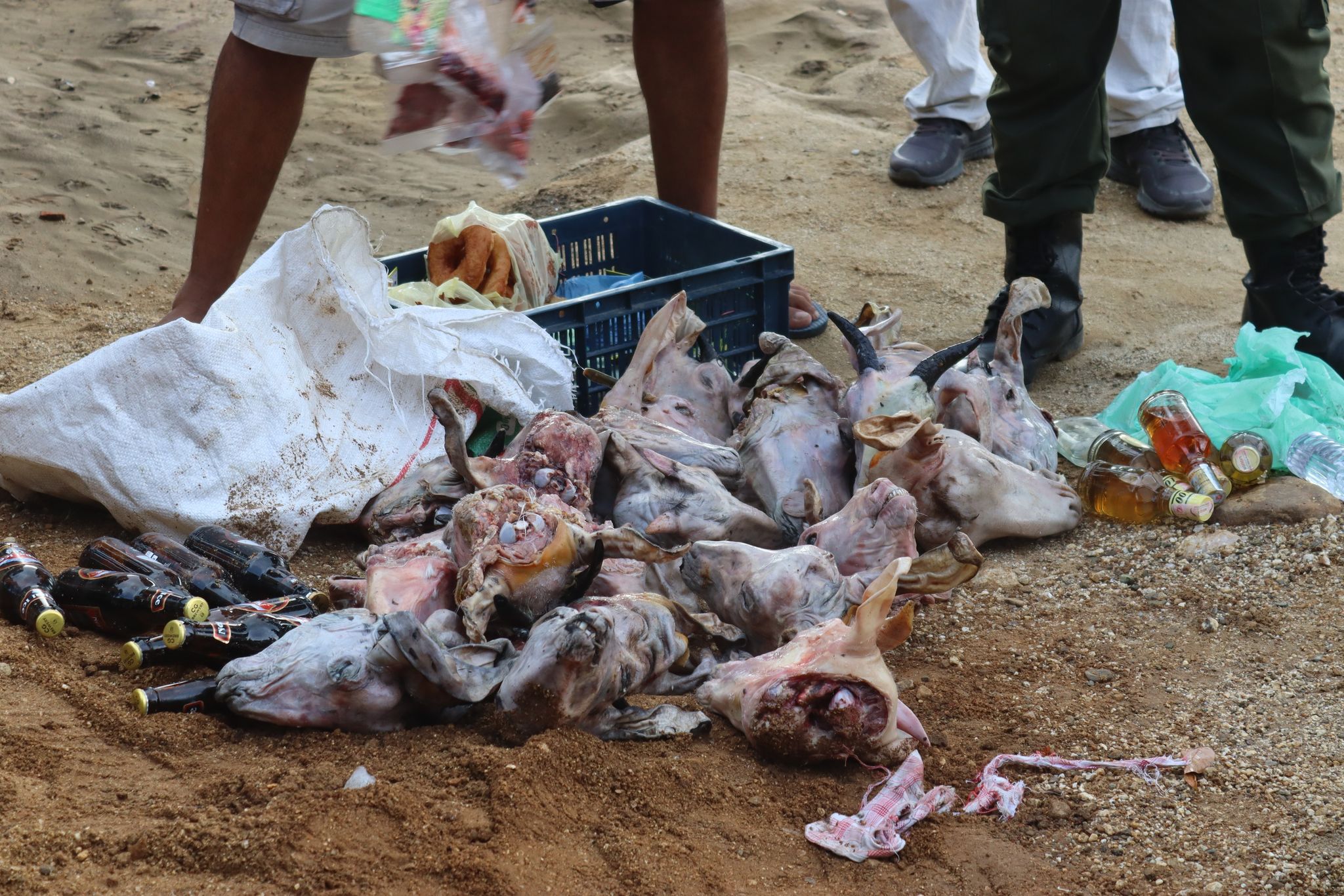 363071763_177240972025118_8743658013011342597_n