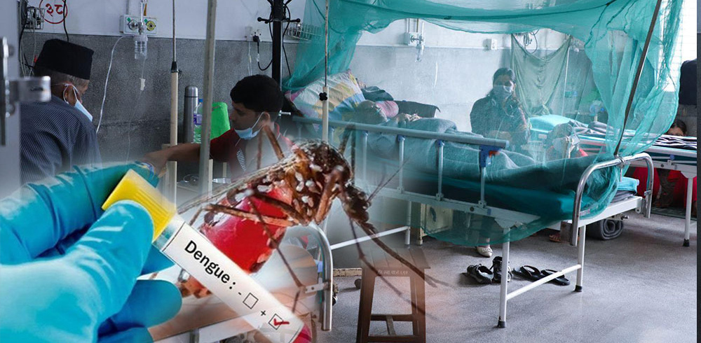 8773eaaok-1689838800