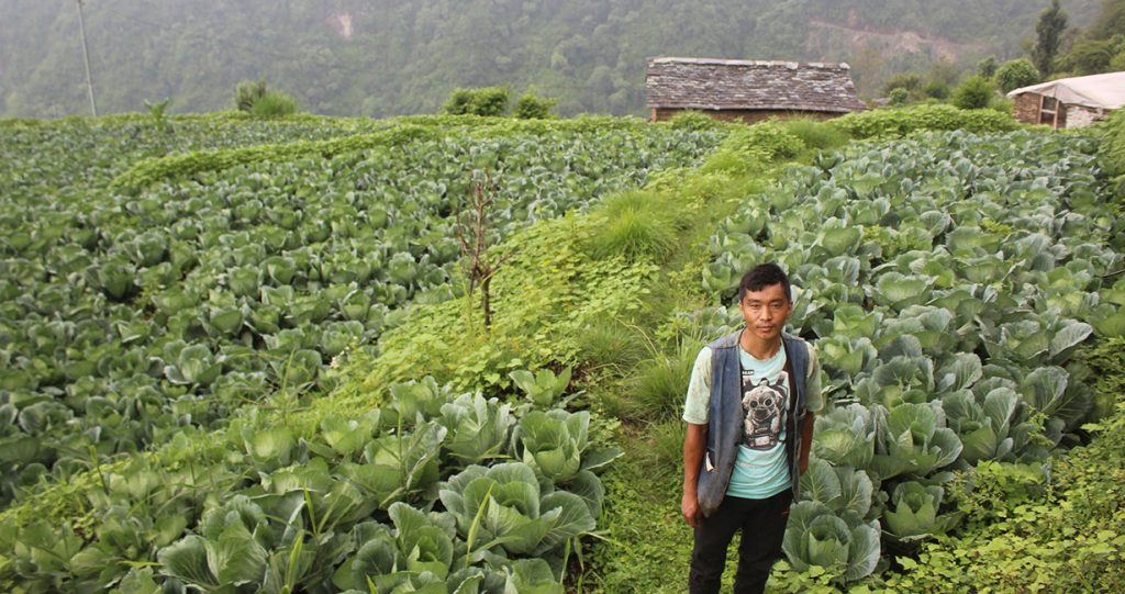 Dalbir-pun-farming-_Baglung-1024x541