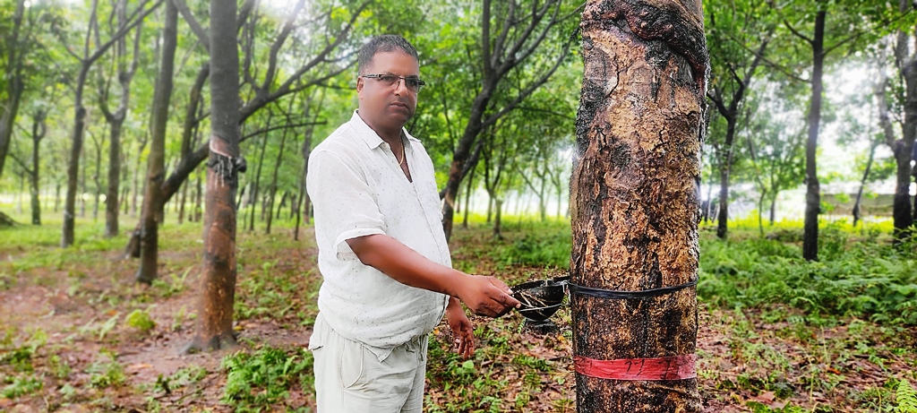 Rabor2023-07-24-11-07-04