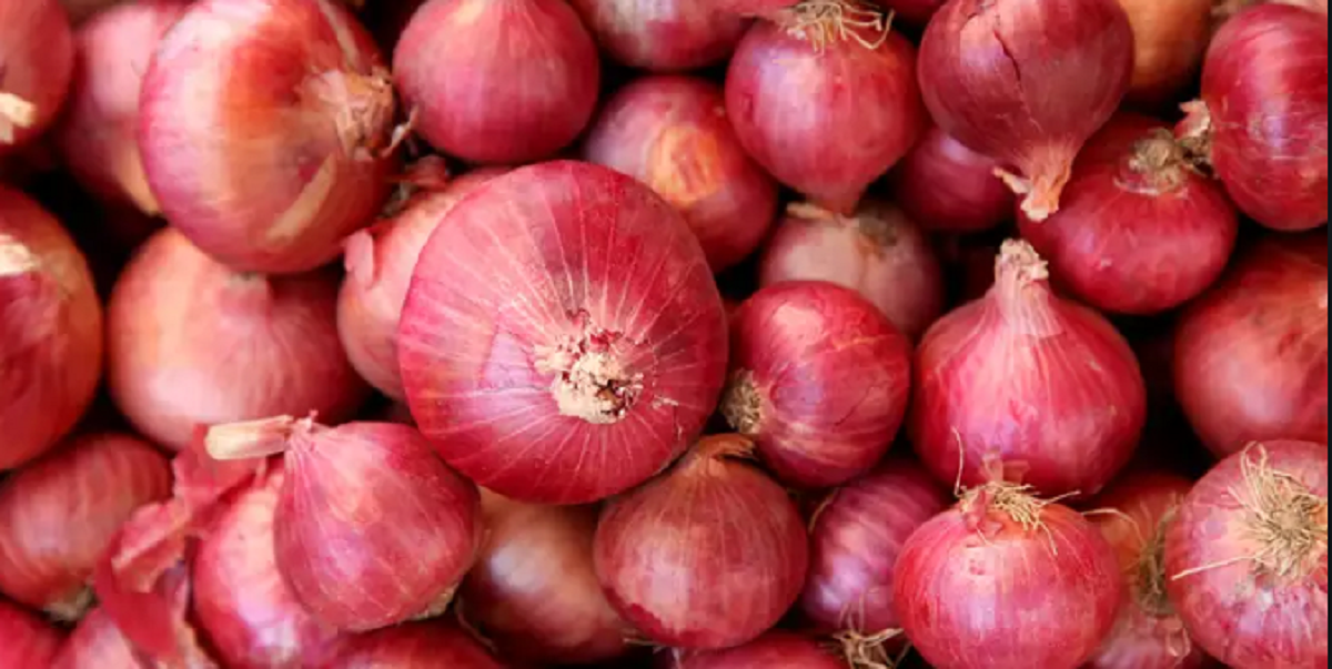 1569753301onion