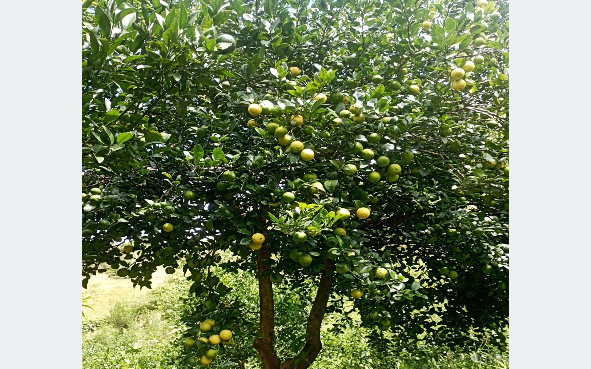 202308171253-343ad14a-f5f4-45ab-a250-2d96aa7fb2bd_medium