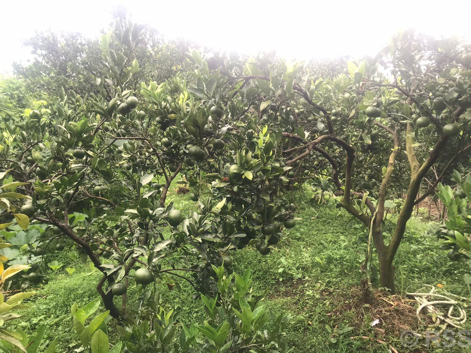 202308201336-6aaab922-1224-486b-b807-6964b35761b4_medium