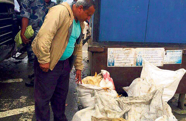 579c445e335fd9.43088360_zLqNpUe6xu