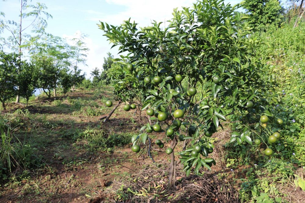 6884-scaled-e1692677197237