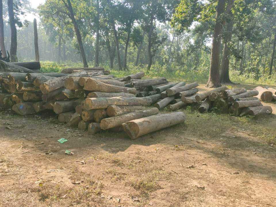 inbound1633024524273046252