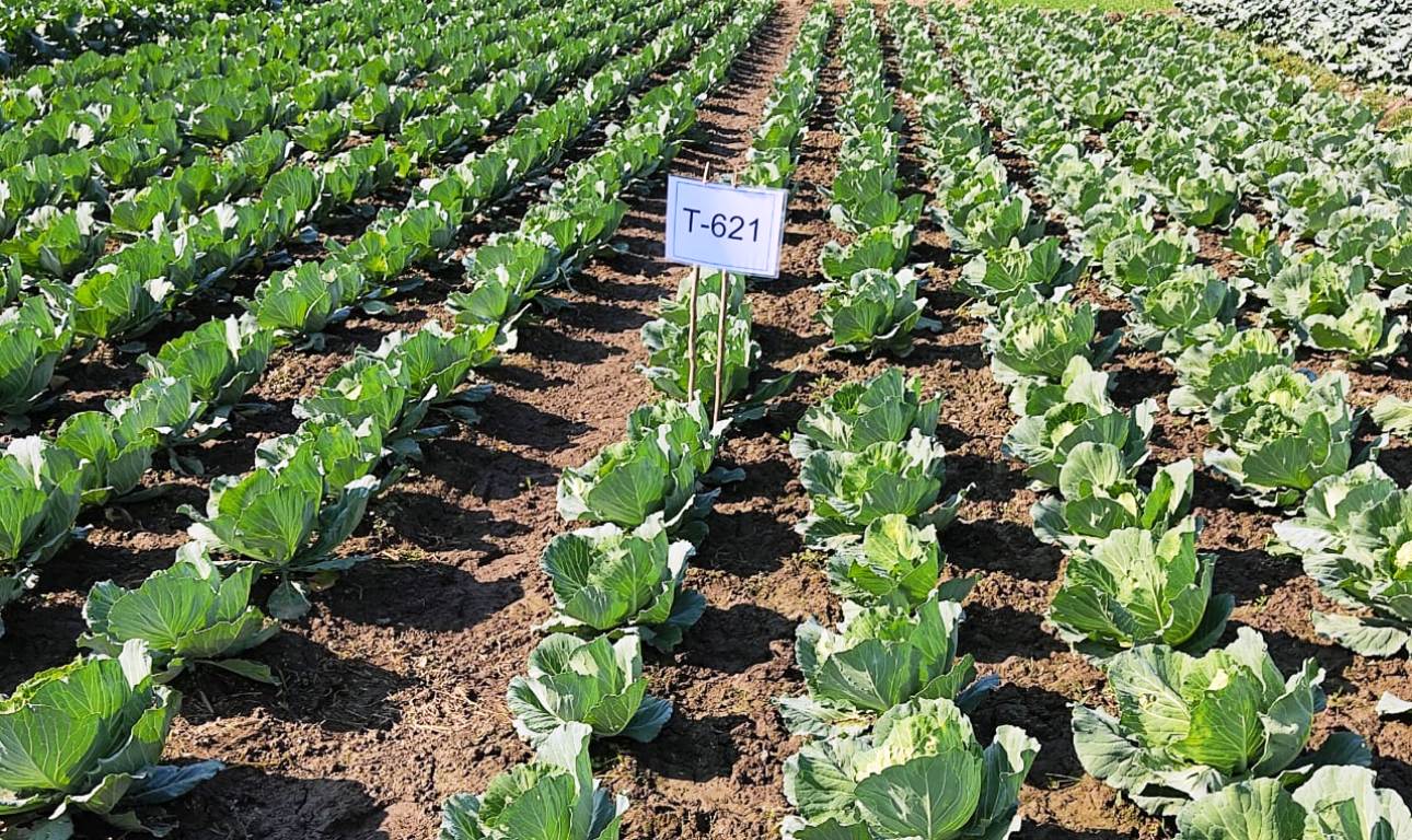 b973892c-4aba-42f4-9074-5dc45be16e9e1