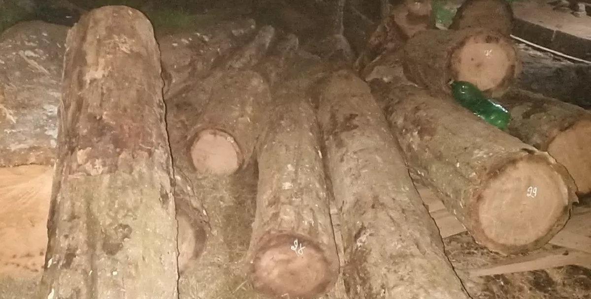 x1694620830-d02em.jpg.pagespeed.ic.G2e6xnwV2G