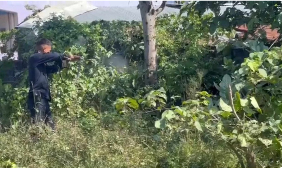 inbound5053046771600767919