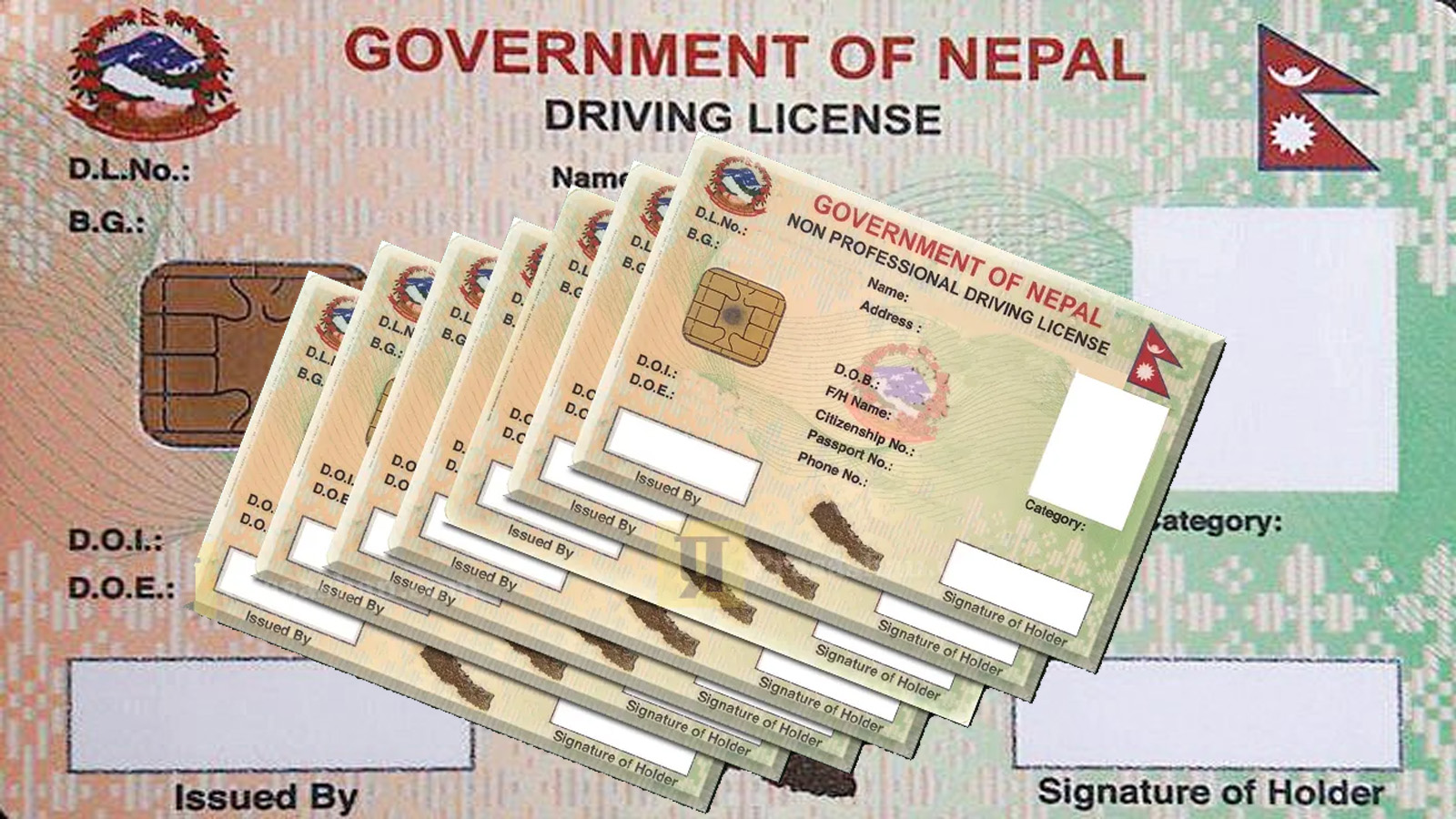 licence