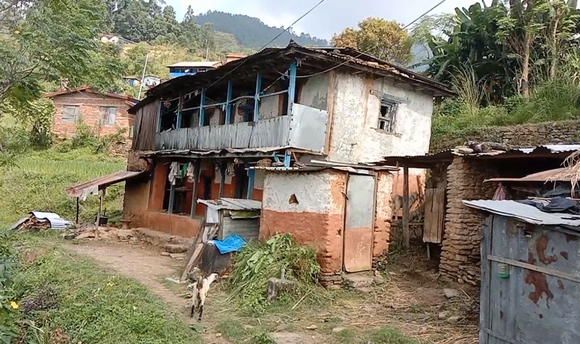 rato_mato_kamero_G7cjf4MjB9