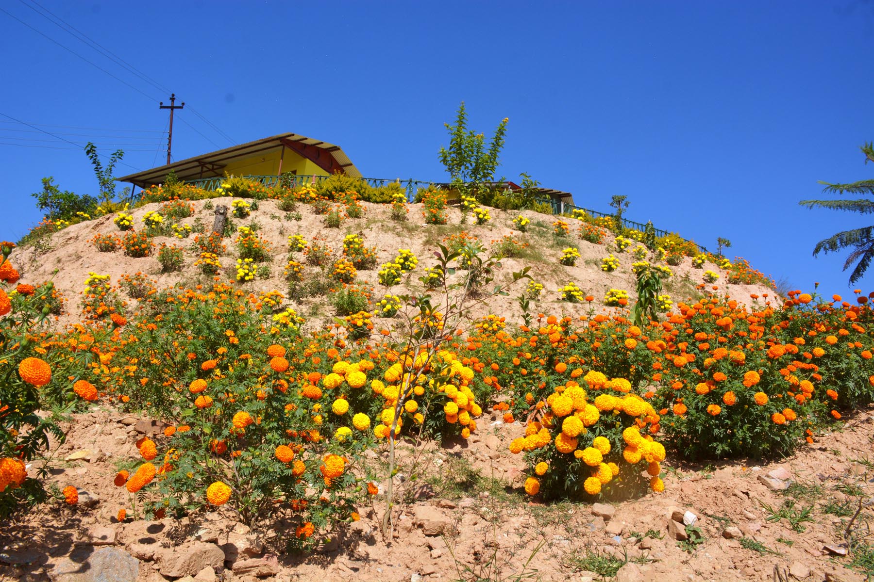 PemaLama_Dhudhikhel_RSS_1511