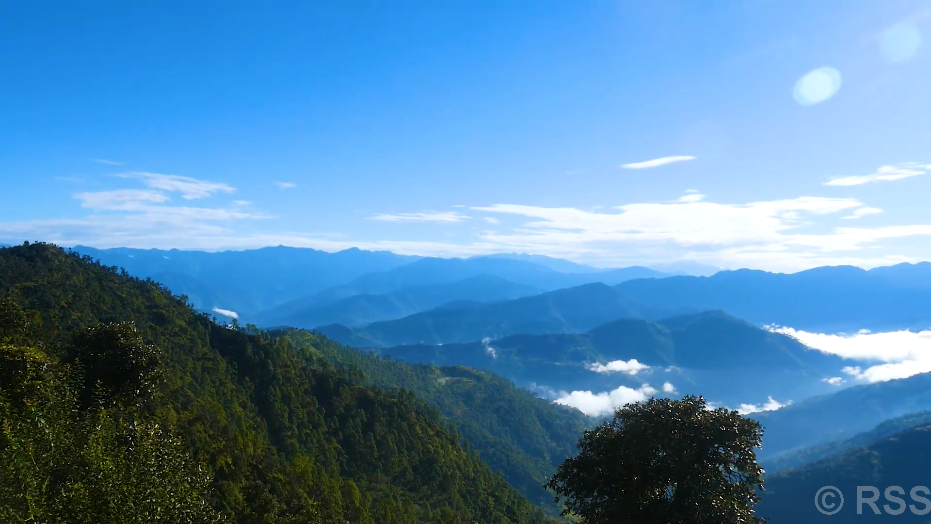 202401211212-f327c71a-fc8a-4a86-ac52-f6c2b2768084_medium